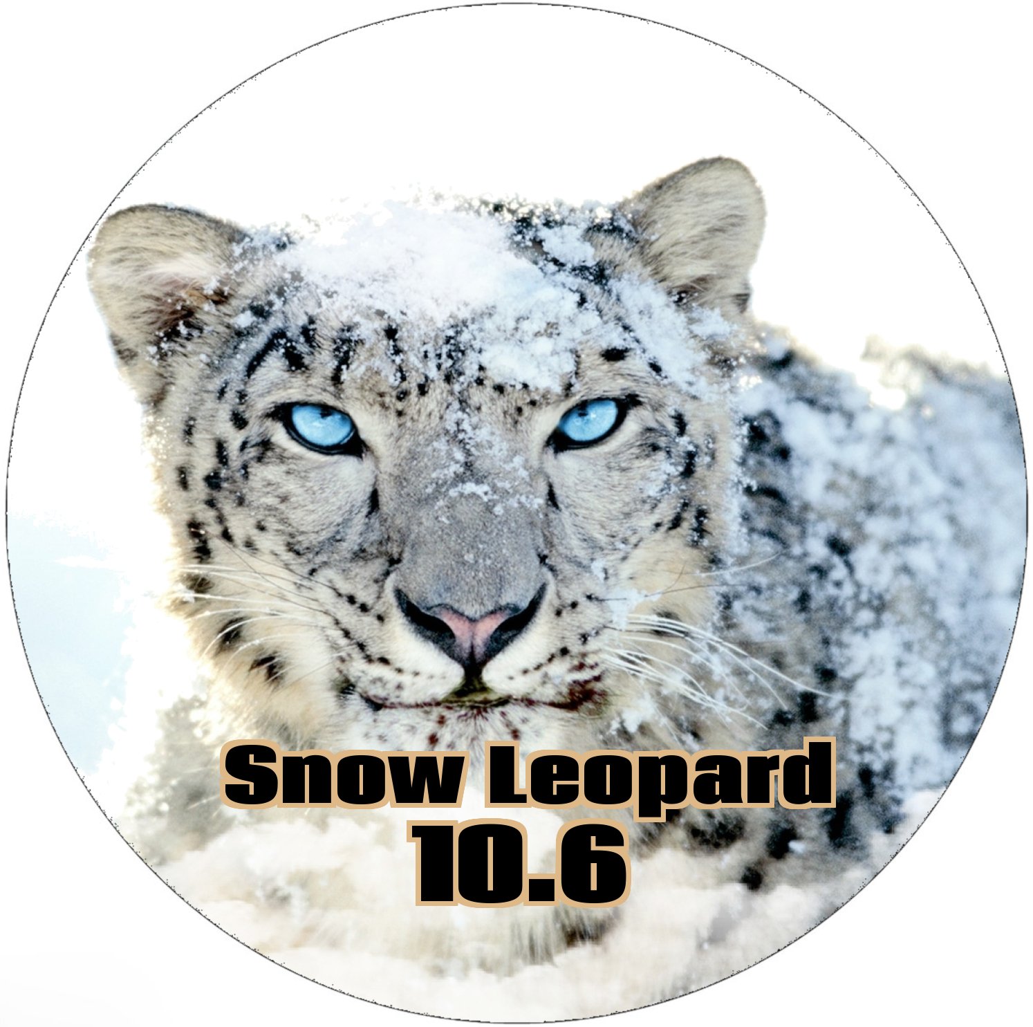 make a bootable usb mac for snow leopard